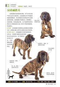 【正版全新】猫图鉴 名犬图鉴 全两册 猫狗宠物图鉴珍藏养猫养狗手册训狗猫书宠物书籍 世界名犬狗的品种大全图 关于猫的书猫咪家庭医学书籍