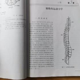 腰痛与椎间盘突出