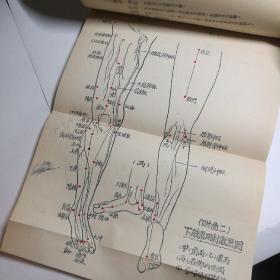 新编针灸学（5张针灸图全.有刘伯承.邓小平.张际春题词.50年1版）【 正版品好 初版 】