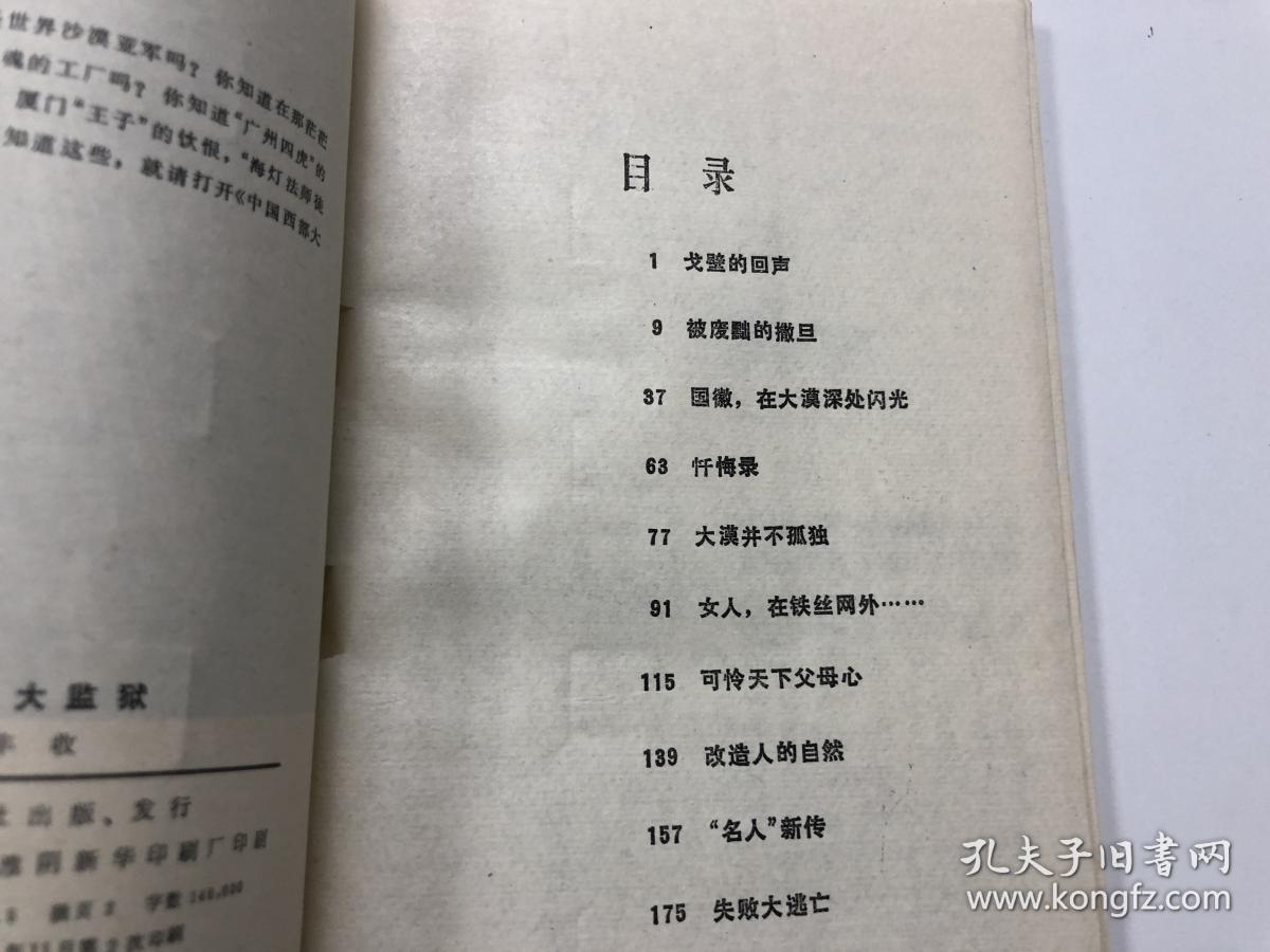 中国西部大监狱 纪实文学2