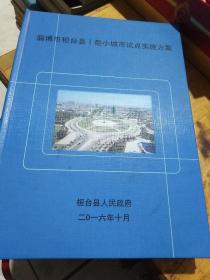 淄博市桓台县Ⅰ型小城市试点实施方案