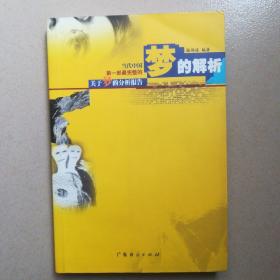 梦的解析(当代中国第一部最完整的关于梦的分析报告)