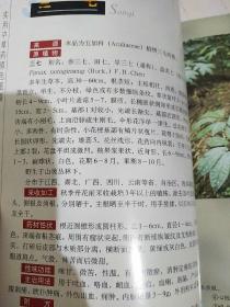 实用中草药原色图谱1：根及根茎类