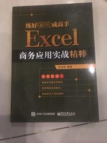 练好套路成高手：Excel商务应用实战精粹