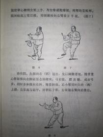 名家经典丨杨式太极拳（全一册插图版）