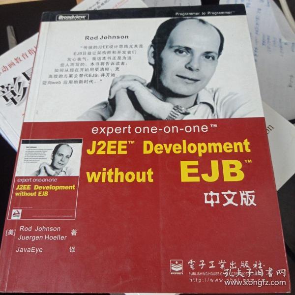 expert one-on-one J2EE Development without EJB 中文版