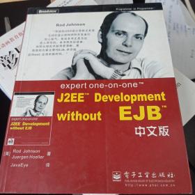 expert one-on-one J2EE Development without EJB 中文版