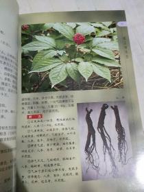 实用中草药原色图谱1：根及根茎类