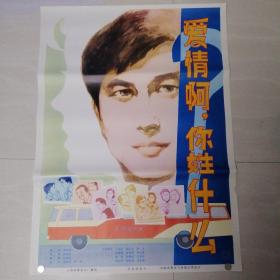 一开电影海报爱情啊，你姓什么