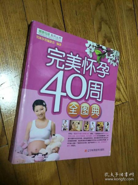 完美怀孕40周全图典