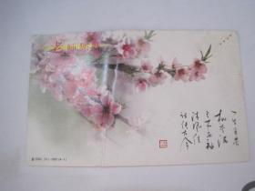 2000年中国邮政明信片（空白片，新2000（31）-0051（4-1），老师你好）（85842）