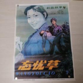 一开电影海报忘忧草
