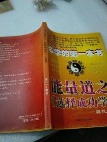 必学的第一本书能量道之《选择成功学》
