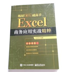 练好套路成高手：Excel商务应用实战精粹