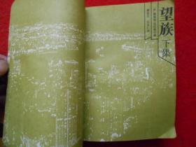 望族（上中下）