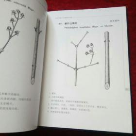 长白山木本植物冬态图谱