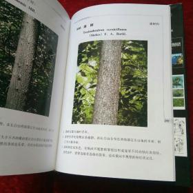 长白山木本植物冬态图谱