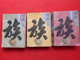 望族（上中下）