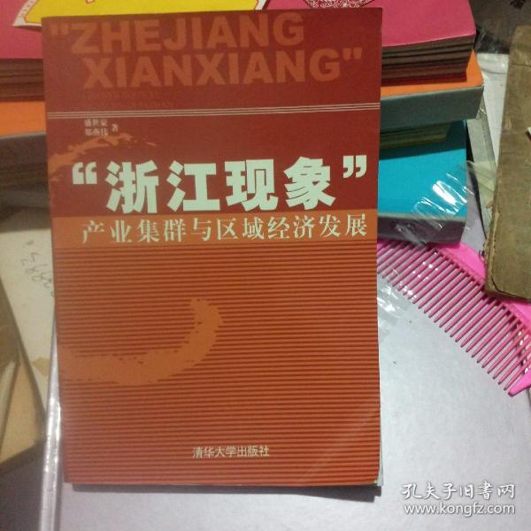 “浙江现象”产业集群与区域经济发展