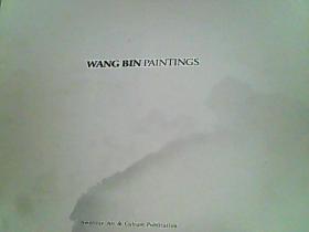 WANG BIN PAINTINGS