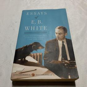 ESSAYS of E.B.WHITE