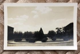 民国时期 中山大学礼堂前老照片一枚