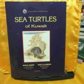 SEA TURTLES OF KUWAIT