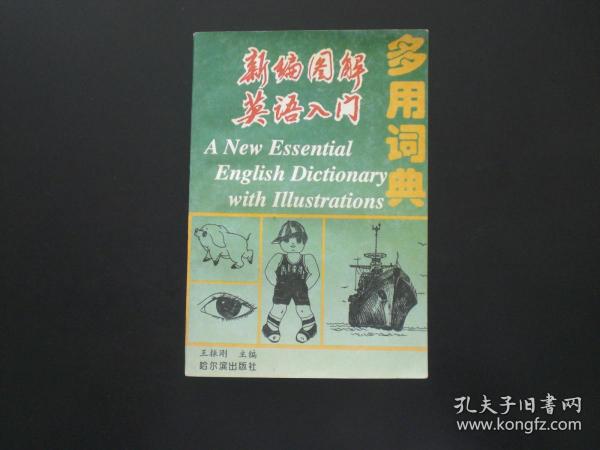 新编图解英语入门多用词典  王振刚 主编  哈尔滨出版社  全新