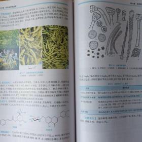 中药鉴定技术（第4版/高职中药/配增值）