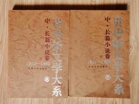 贵州新文学大系:1919～1989.中、长篇小说卷.上下