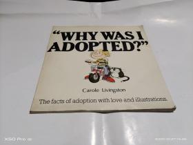 WHY WASI ADOPTED