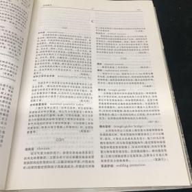 中国土木建筑百科辞典：桥梁工程