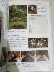 草坪建植与养护彩色图说