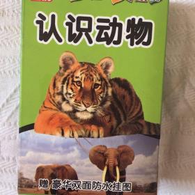 收藏扑克牌亲子大牌认识动物54张看图识字亲子系列赠送双面挂图