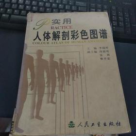 实用人体解剖彩色图谱。铜版纸彩印