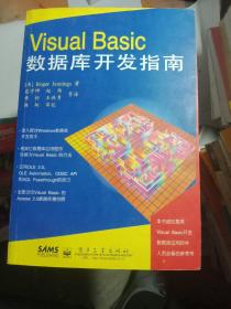 Visual Basic数据库开发指南