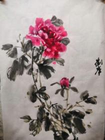 国画  牡丹（刘岸作品）单头