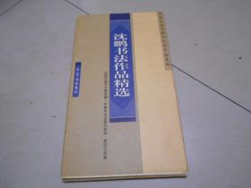 沈鹏书法作品精选【册页全30张】