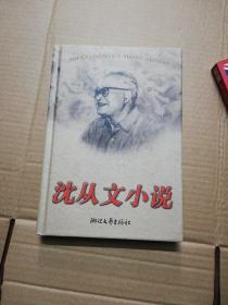 沈从文小说 /沈从文 浙江文艺出版社