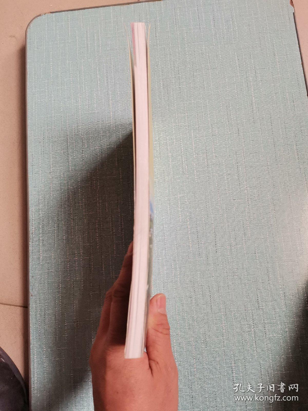长辛店镇张郭庄村志