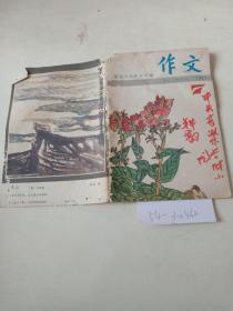 暑假生活作文专辑（ 作文）1987