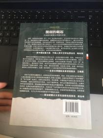 脆弱的崛起：大战略与德意志帝国的命运