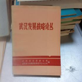武汉发展战略论丛