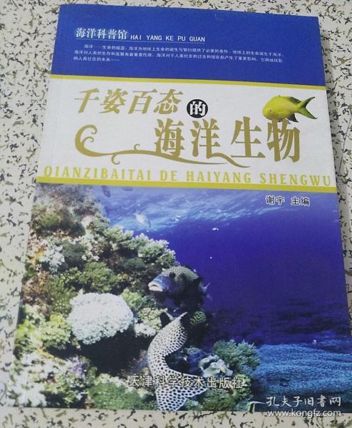 海洋科普馆：千姿百态的海洋生物