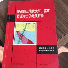 难识别及隐伏大矿、富矿资源潜力的地质评价