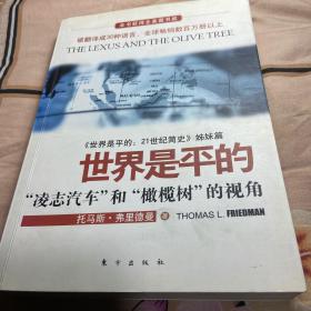 世界是平的：《世界是平的：21世纪简史》姊妹篇