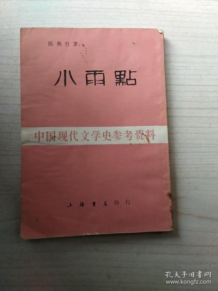 中国现代文学史参考资料：小雨点