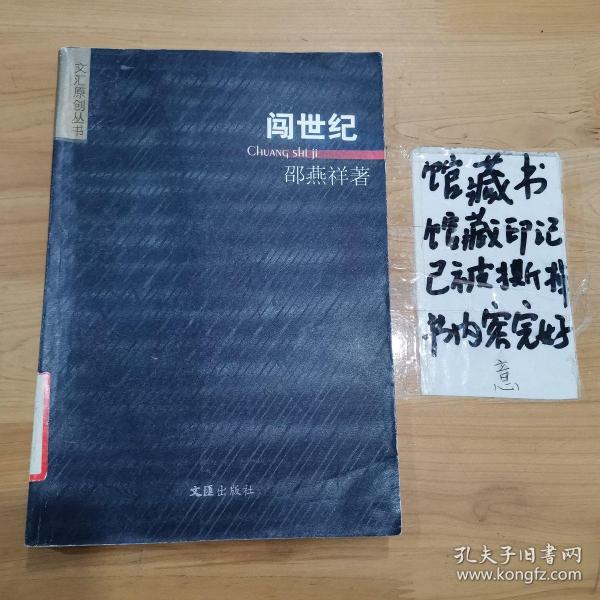 闯世纪：中国当代人文、社会现象沉思漫想