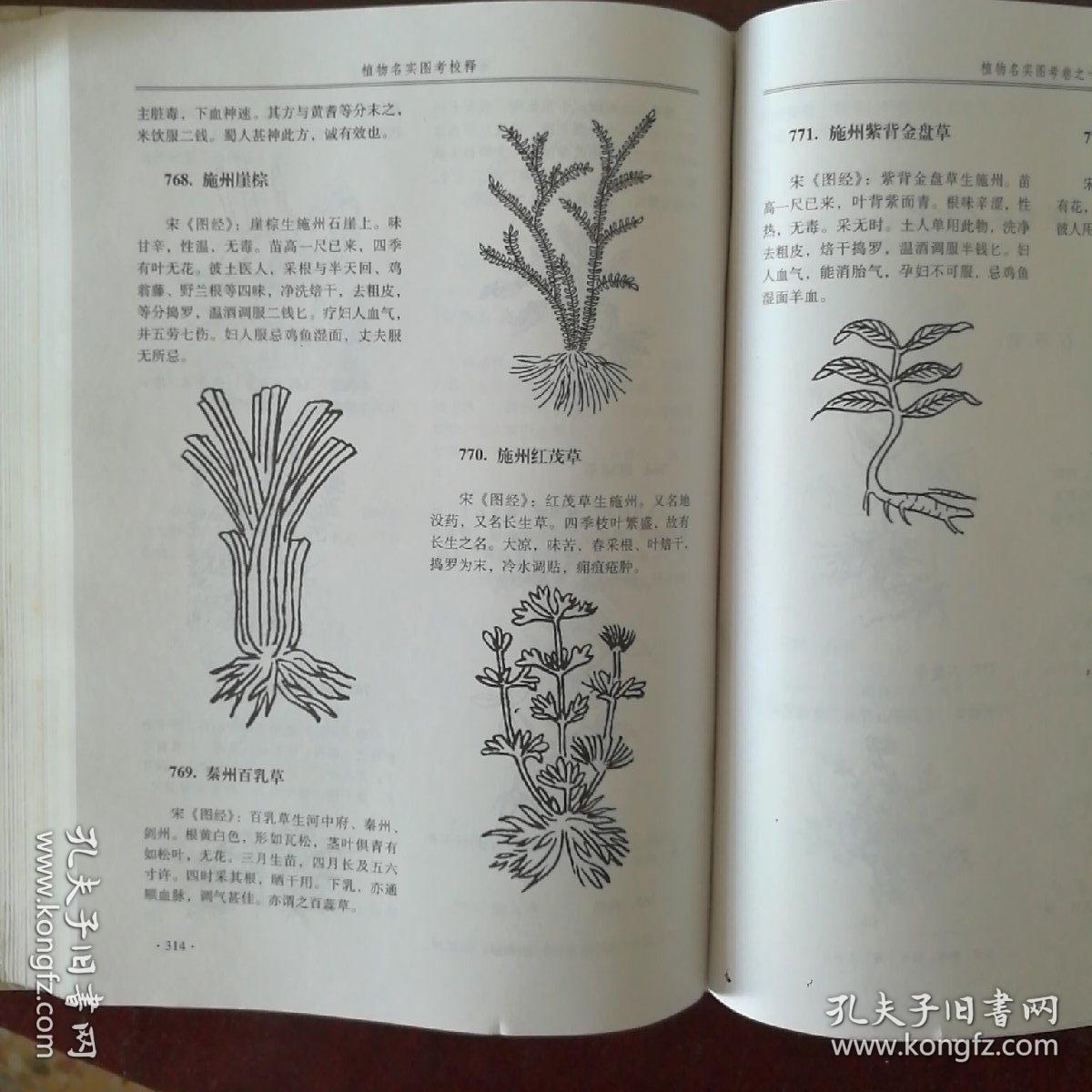 植物名实图考校释
