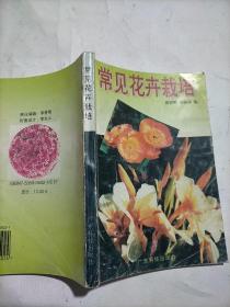 常见花卉栽培